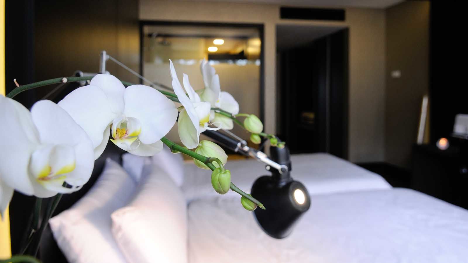 Evidencia Belverde Hotel Amora Dış mekan fotoğraf